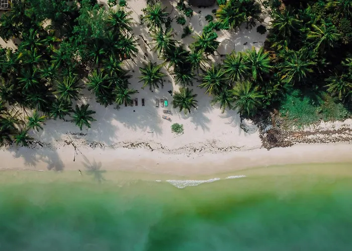 Cielo Y Selva * Punta Allen