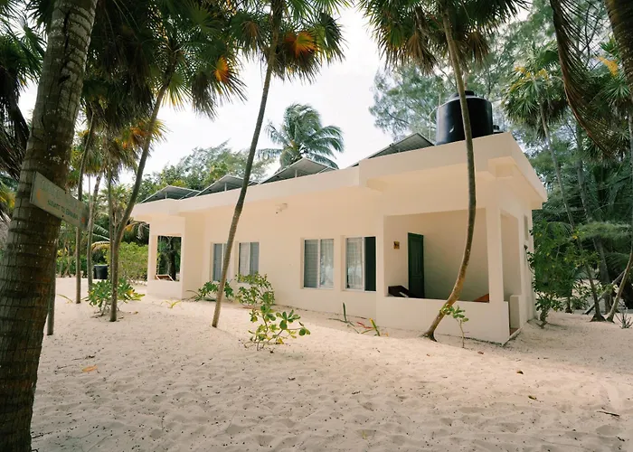 Cielo Y Selva * Punta Allen