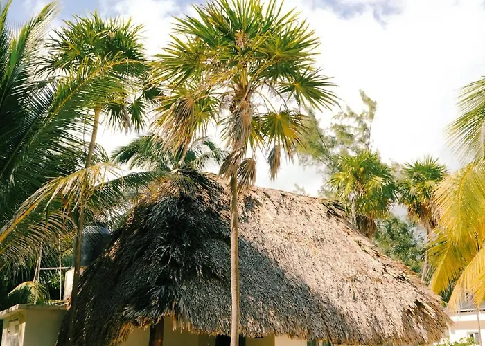 Cielo Y Selva Lodge *