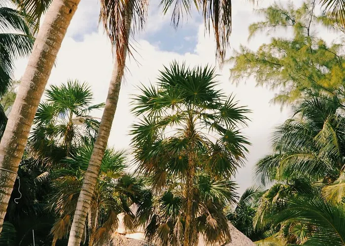 Cielo Y Selva * Punta Allen
