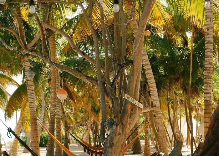 Cielo Y Selva Lodge *