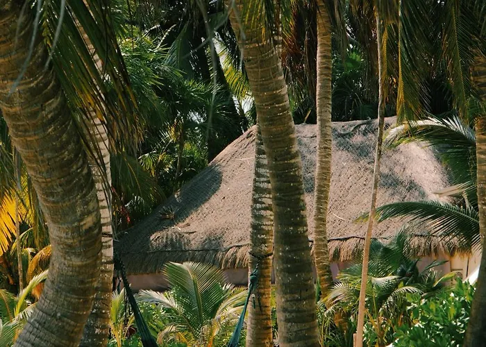 Cielo Y Selva Punta Allen