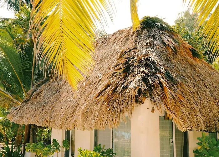 Cielo Y Selva * Punta Allen