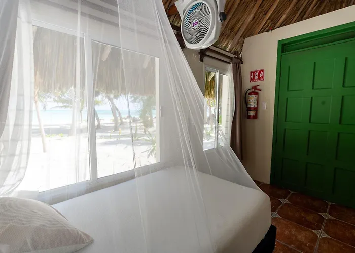 Cielo Y Selva * Punta Allen