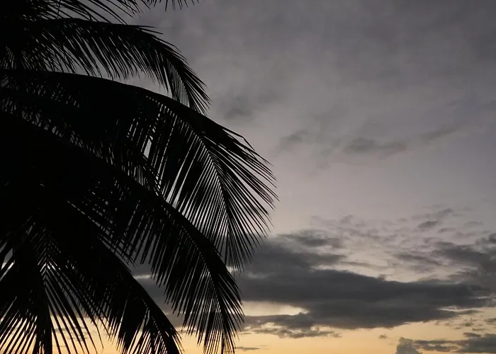 Lodge Cielo Y Selva Punta Allen