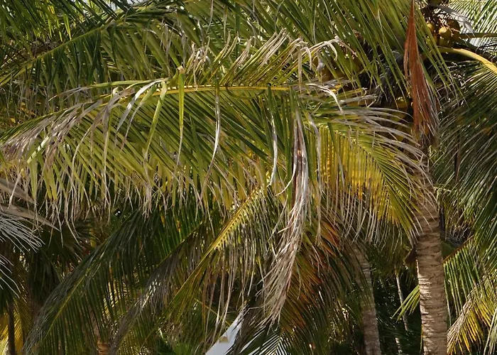 Lodge Cielo Y Selva Punta Allen